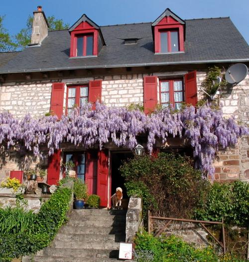 Saint-Bonnet-la-Rivière Corrèze Häuser mit Zuhause foto