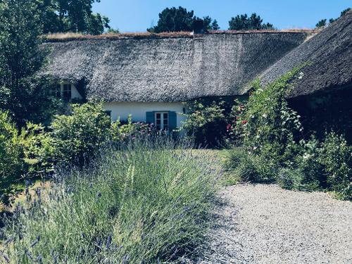 Herbignac Loire-Atlantique Haus Bild 4150942