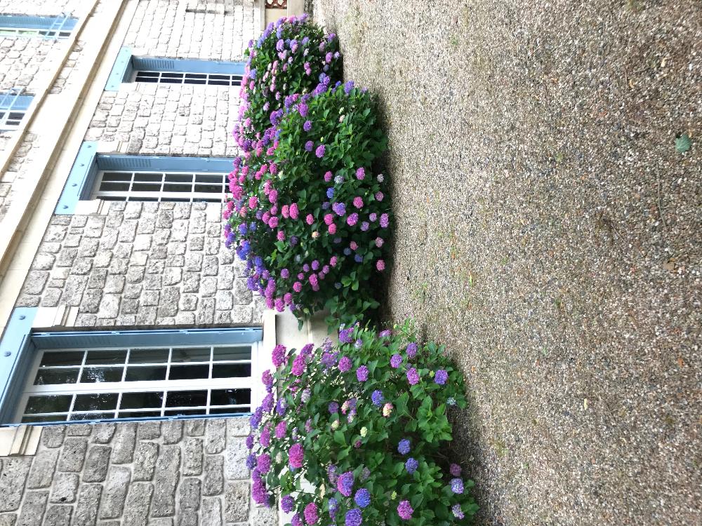 Landgut kaufen in Gueugnon Burgund