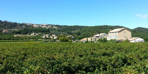 Vaison-la-Romaine Vaucluse Landgut Bild 5708694