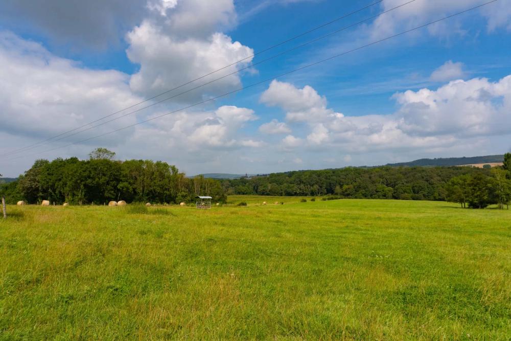  kaufen Dorfbauernhof Bourbonne-les-Bains Haute-Marne 22