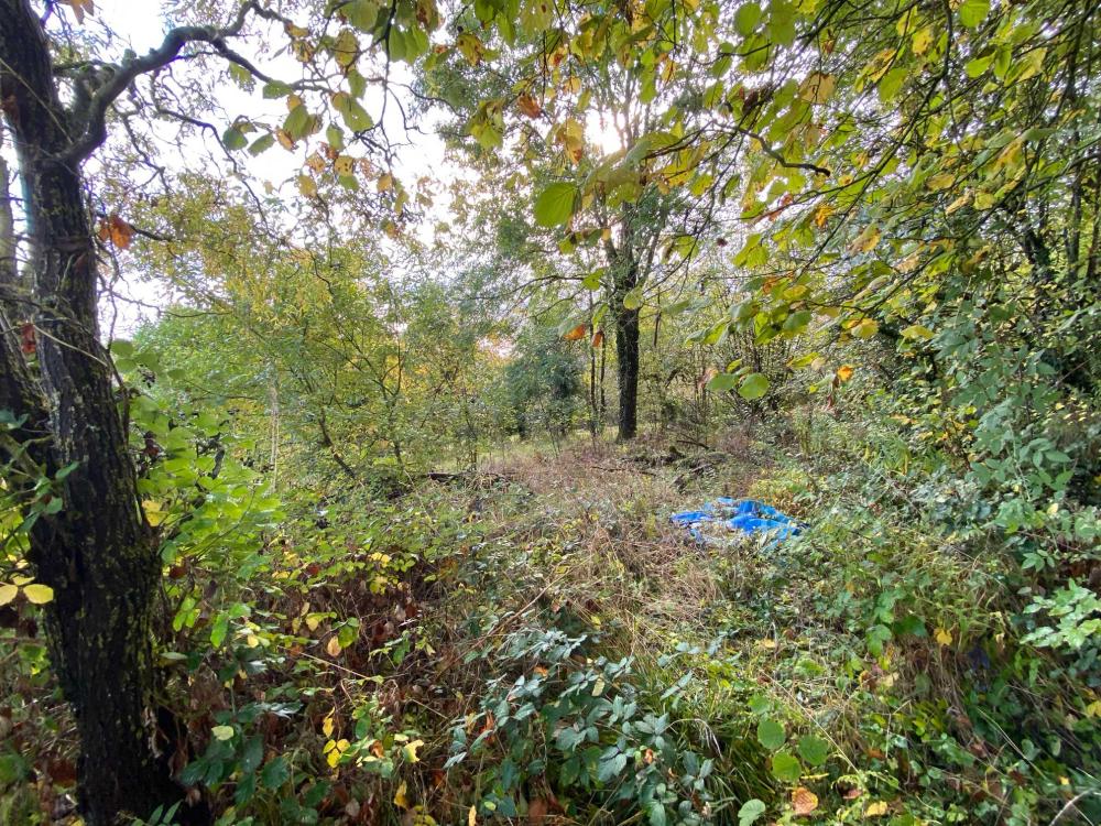  kaufen Dorfbauernhof Voisey Haute-Marne 18