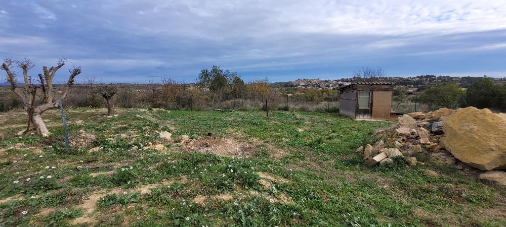  kaufen Grundstück Magalas Hérault 6