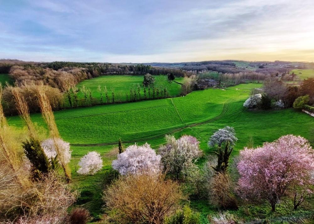  kaufen Freistehend Hautefort Dordogne 9