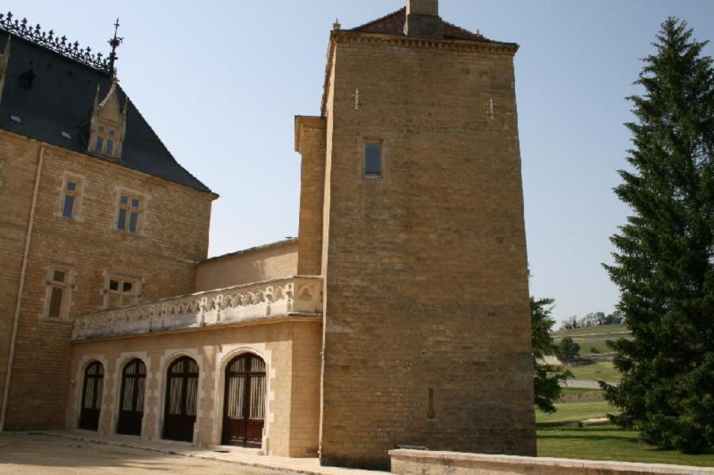  kaufen Schloss Oyonnax Ain 5