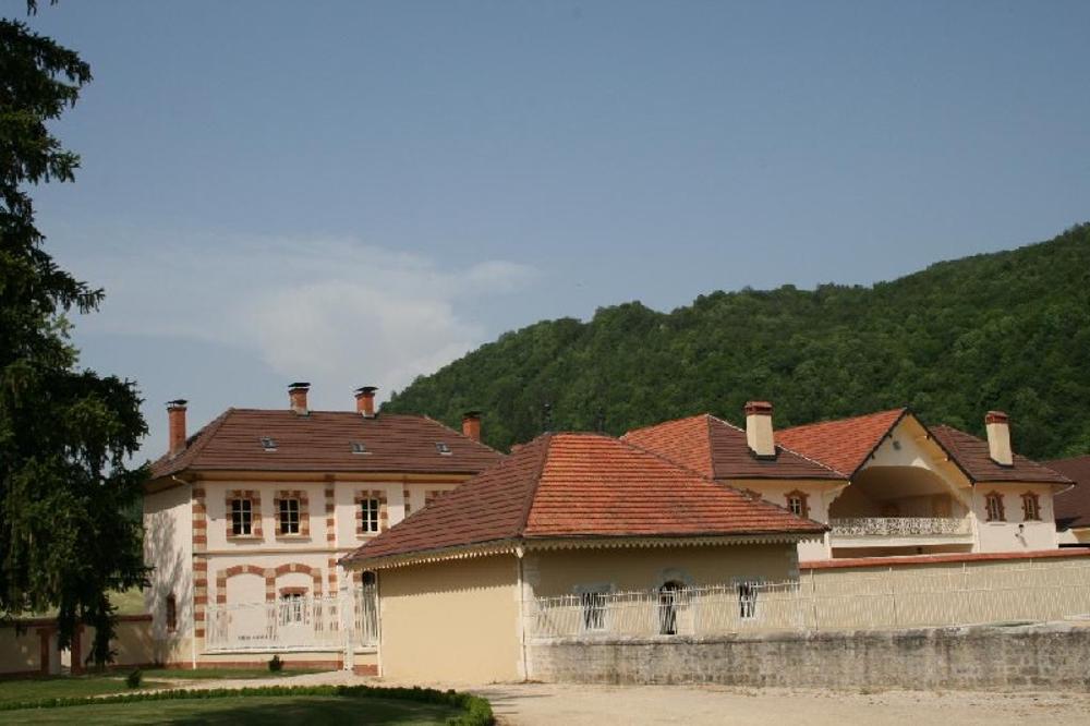  kaufen Schloss Oyonnax Ain 8
