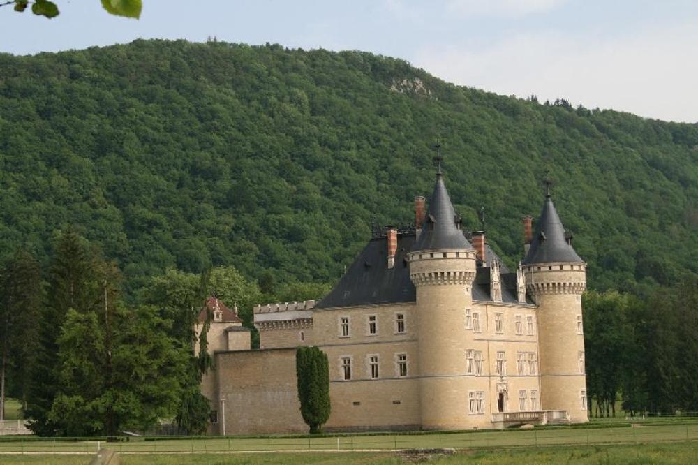  kaufen Schloss Oyonnax Ain 1