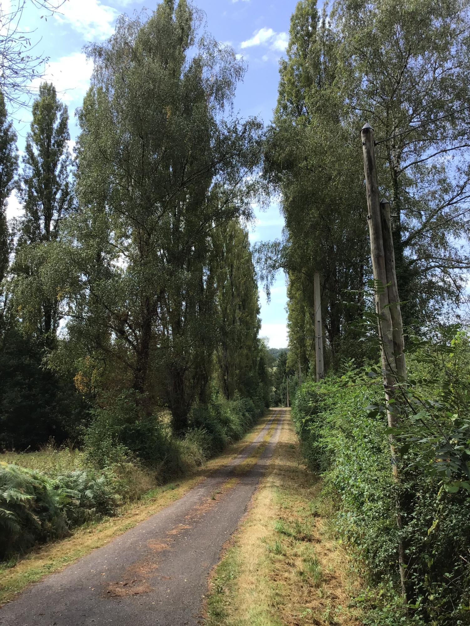  kaufen Freistehend Abzac Charente 4