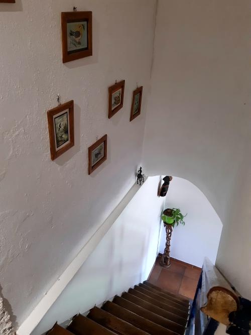  kaufen Haus Saint-Hilaire-de-Brethmas Gard 8