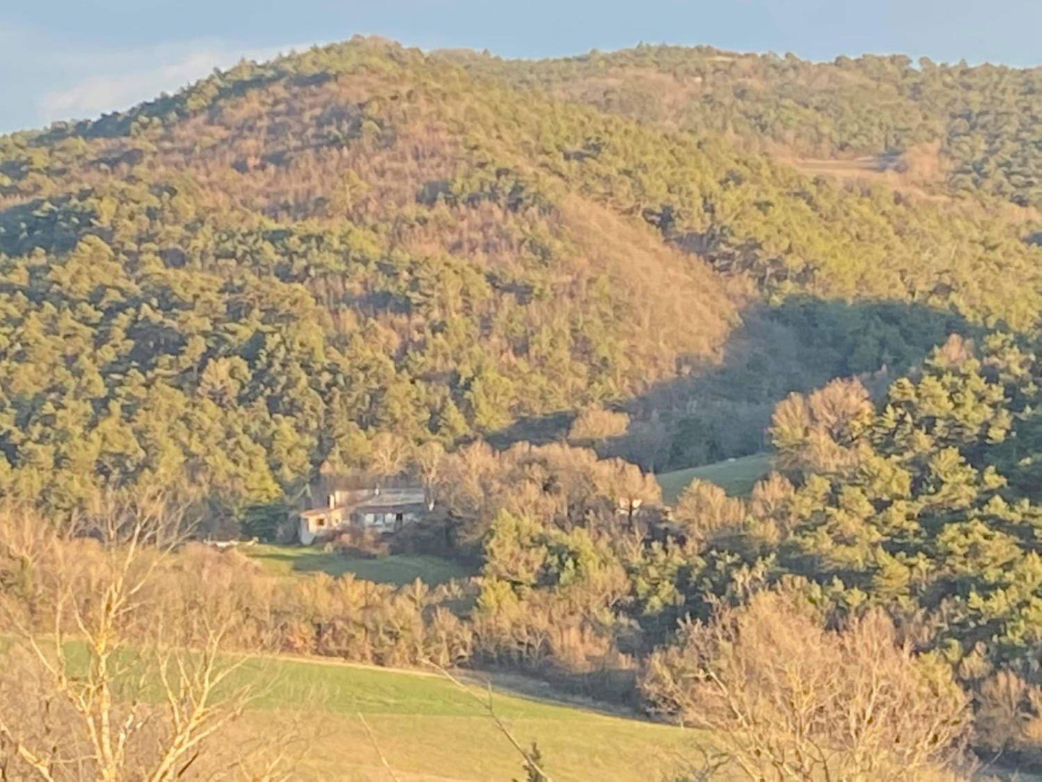  kaufen Häuser mit Zuhause Forcalquier Alpes-de-Haute-Provence 31