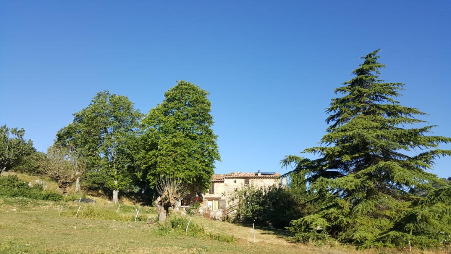  kaufen Häuser mit Zuhause Forcalquier Alpes-de-Haute-Provence 1