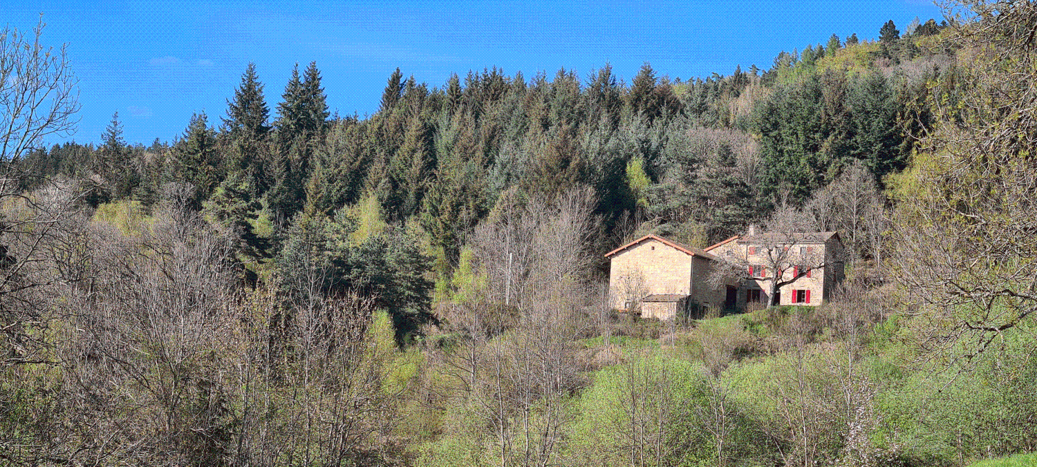 Marat Puy-de-Dôme Haus Bild 6867452