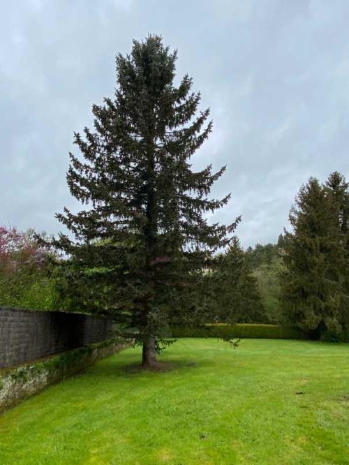  kaufen Bürgerhaus Monthureux-sur-Saône Vogesen 41