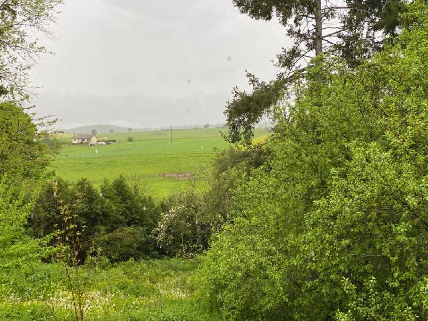  kaufen Dorfbauernhof Rosoy-sur-Amance Haute-Marne 8