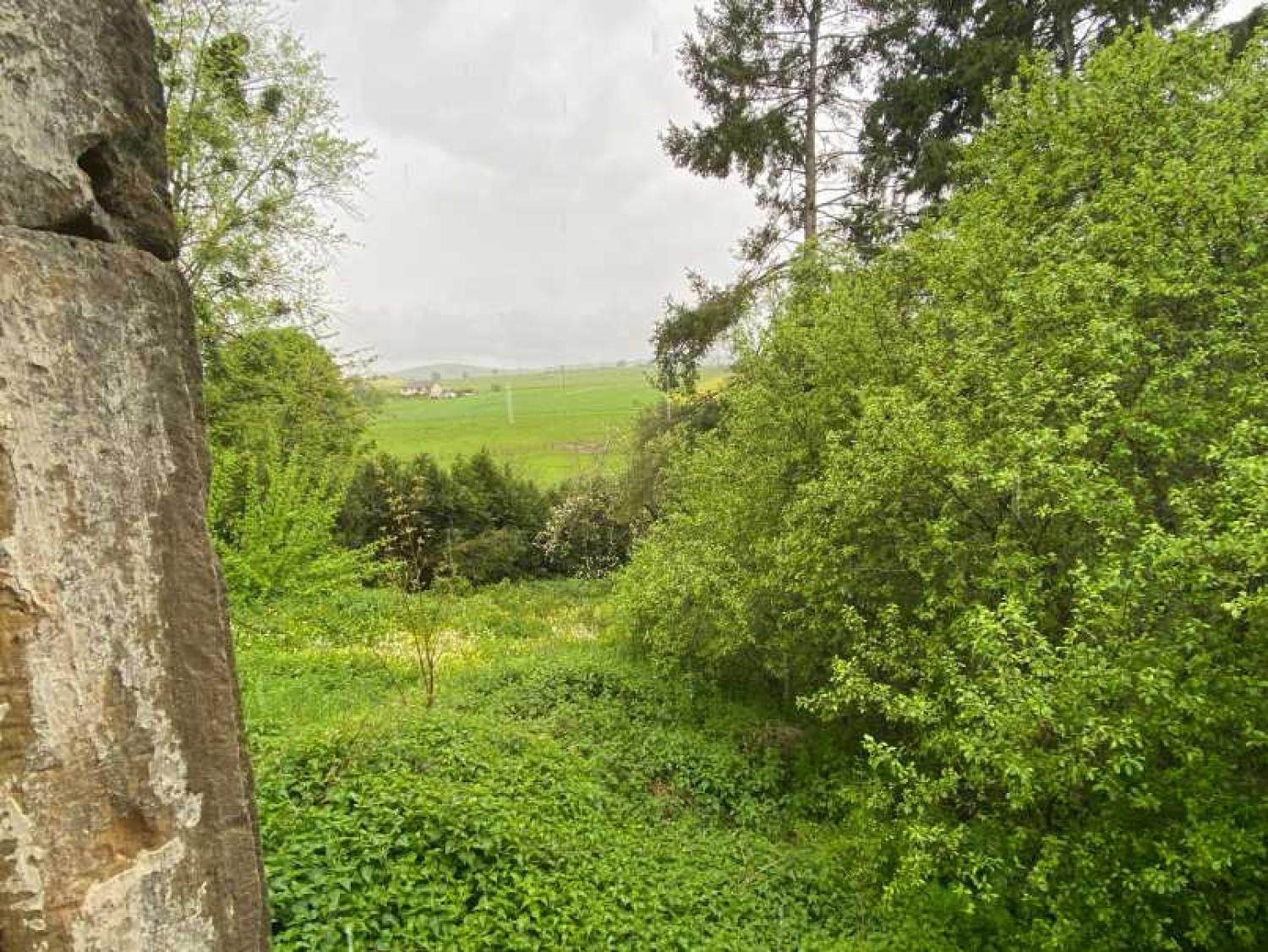  kaufen Dorfbauernhof Rosoy-sur-Amance Haute-Marne 7