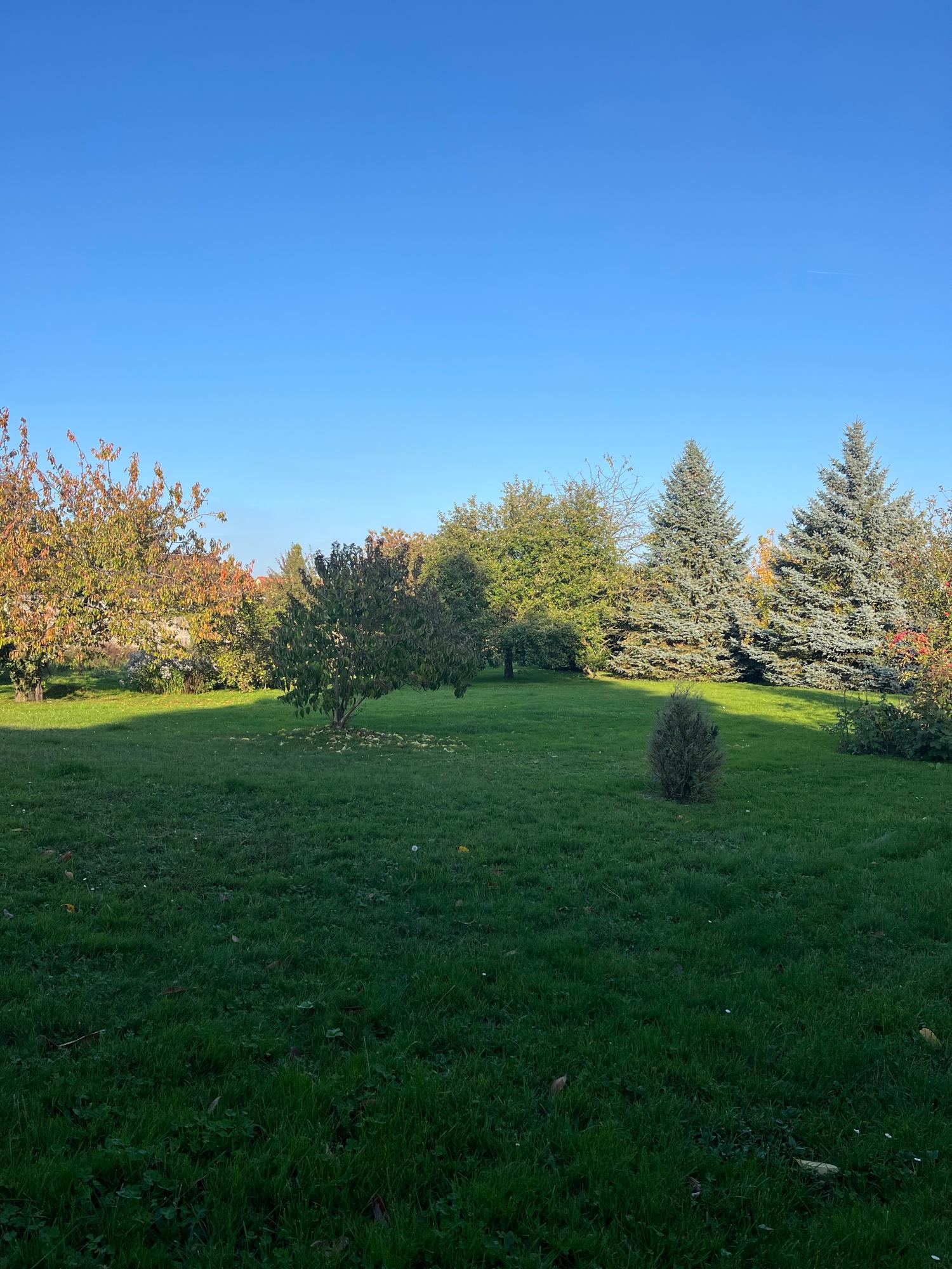 kaufen Freistehend La Houssaye-en-Brie Seine-et-Marne 10