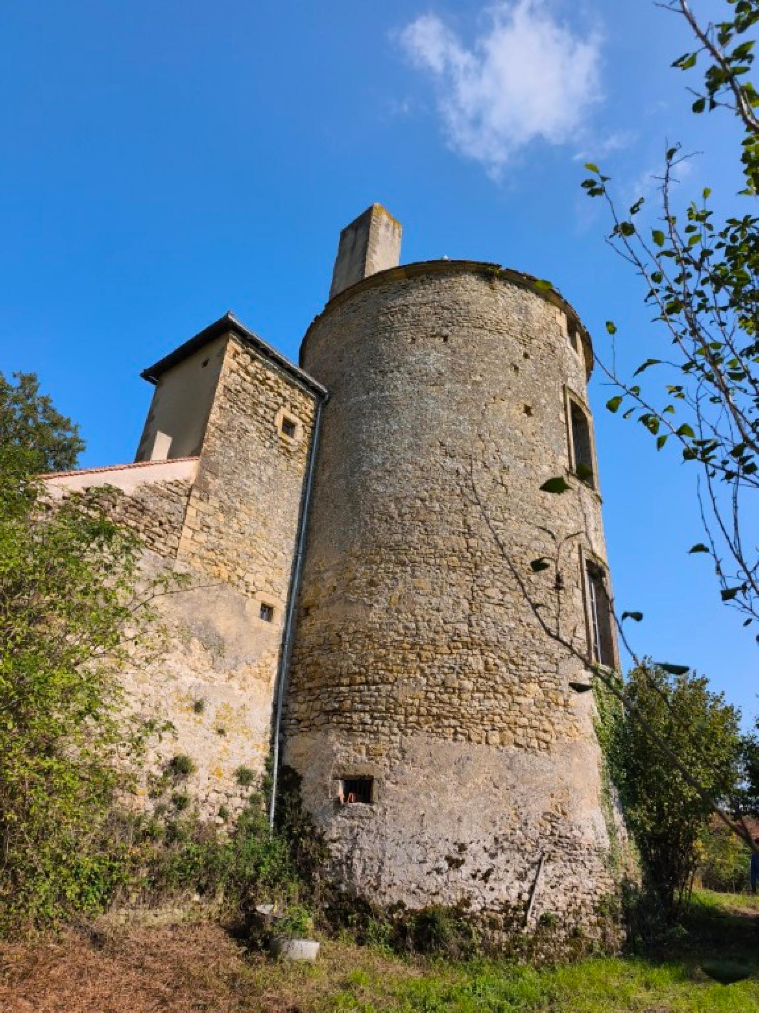  kaufen Schloss Montigny-sur-Canne Nièvre 6