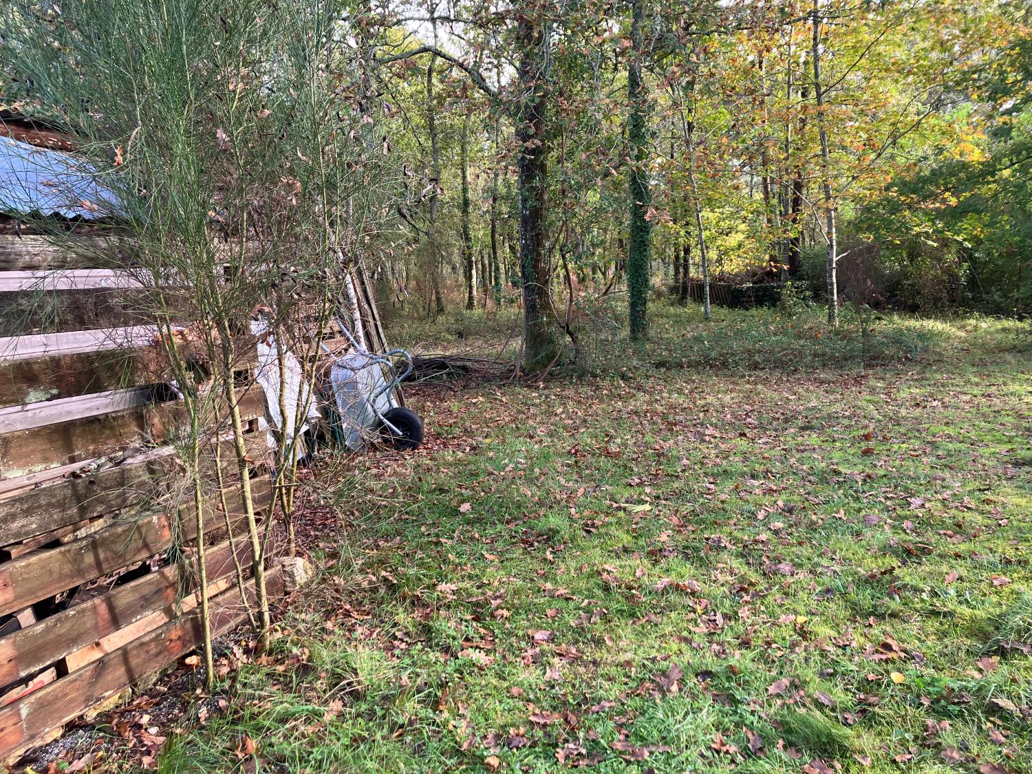 kaufen Haus Gaillan-en-Médoc Gironde 7