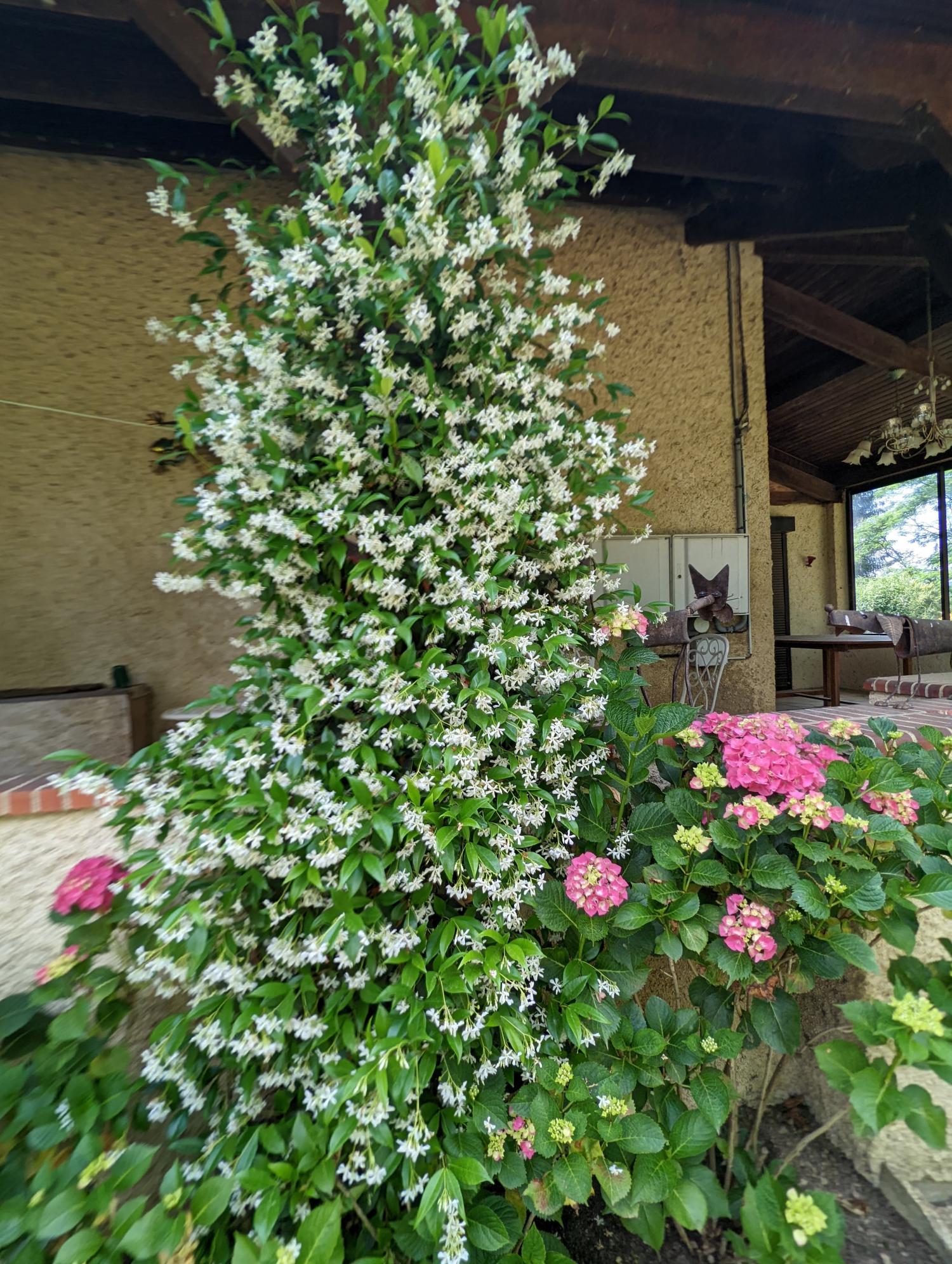 kaufen Freistehend Lannux Gers 23
