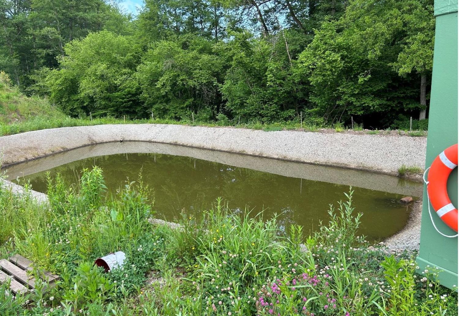  kaufen Grundstück Waldhambach Bas-Rhin 9