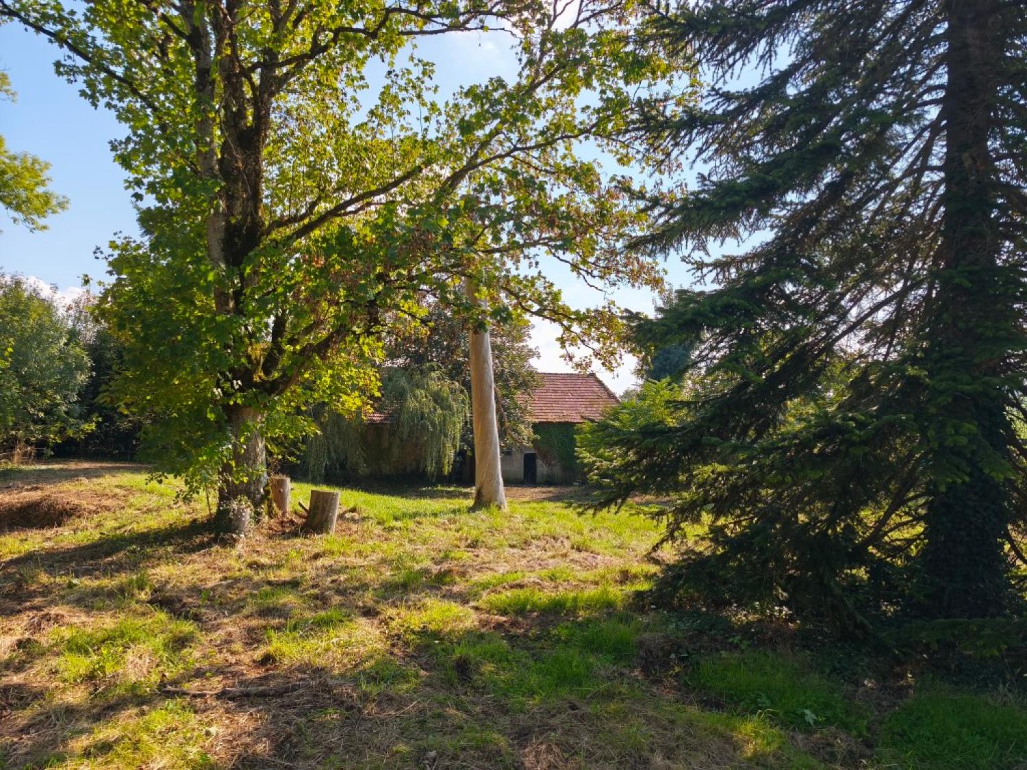  kaufen Schloss Montigny-sur-Canne Nièvre 10