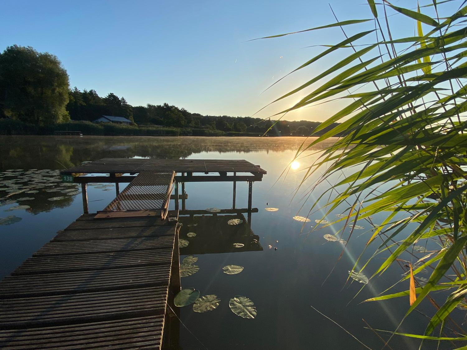  kaufen Haus Rémering-lès-Puttelange Moselle 3
