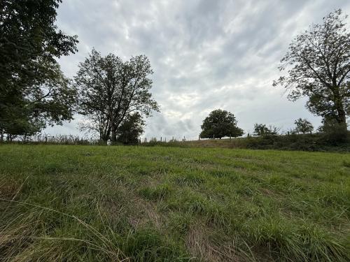  kaufen Kloster Châtillon-sur-Saône Vogesen 44