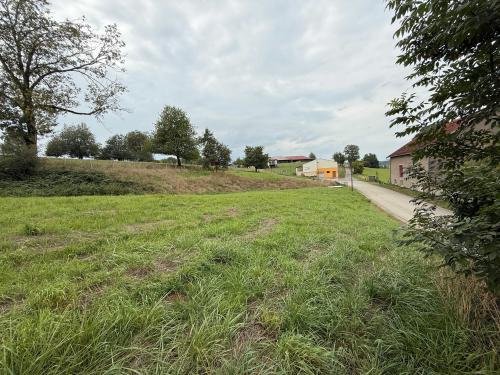  kaufen Kloster Châtillon-sur-Saône Vogesen 45