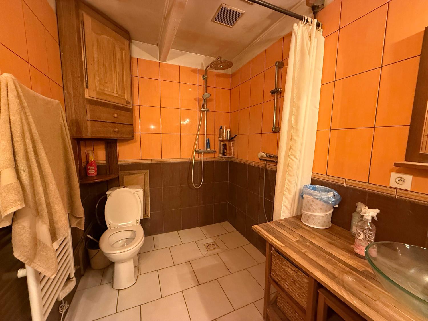 kaufen Dorfhaus Les Thons Vogesen 17