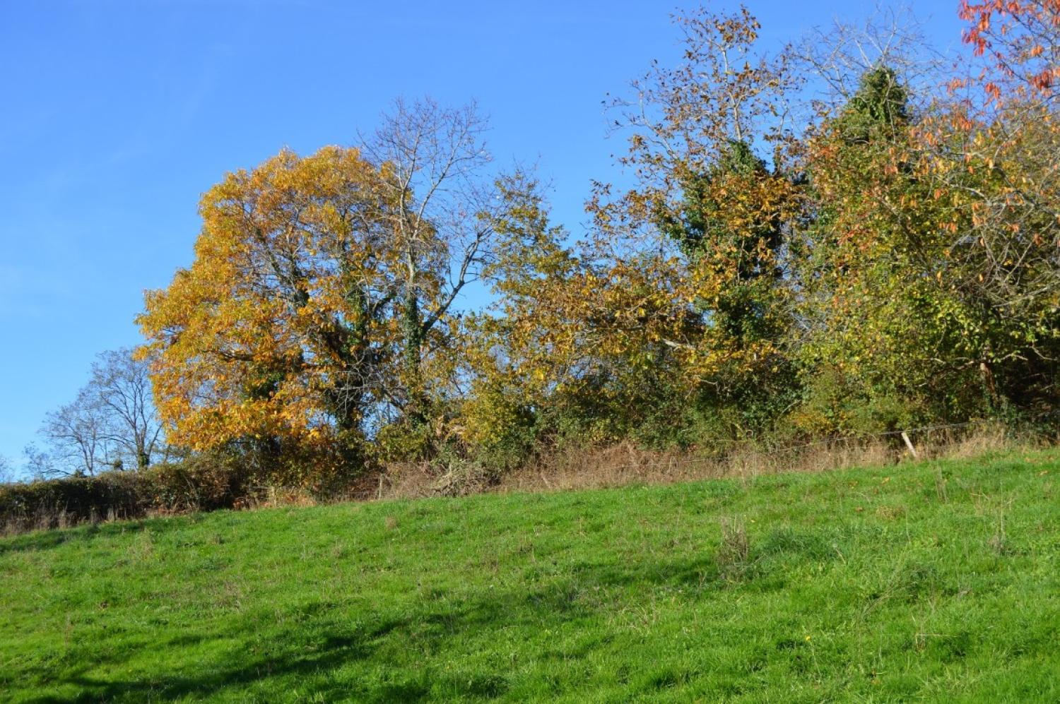  kaufen Haus Millay Nièvre 8