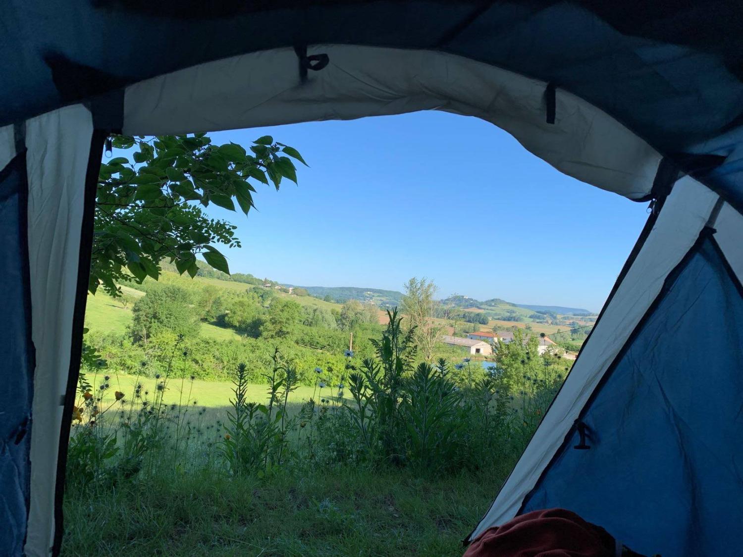  kaufen Landgut Valeilles Tarn-et-Garonne 42