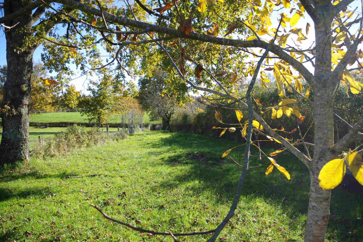  kaufen Haus Vandenesse Nièvre 2