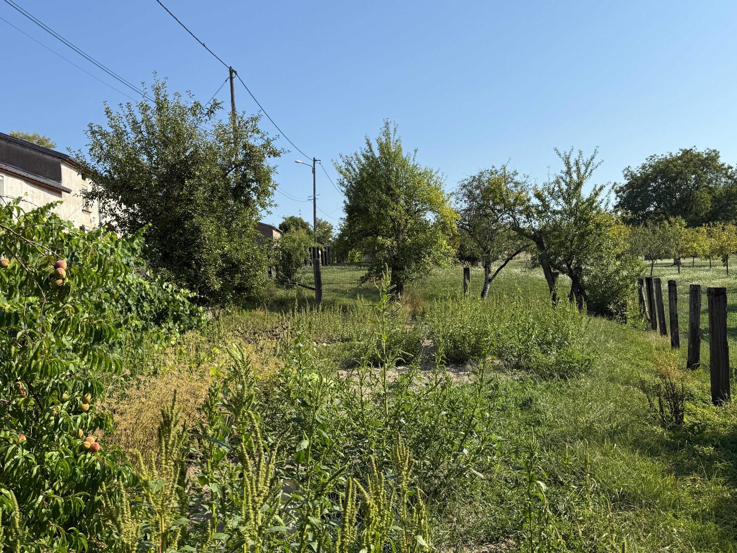  kaufen Dorfhaus Enfonvelle Haute-Marne 20