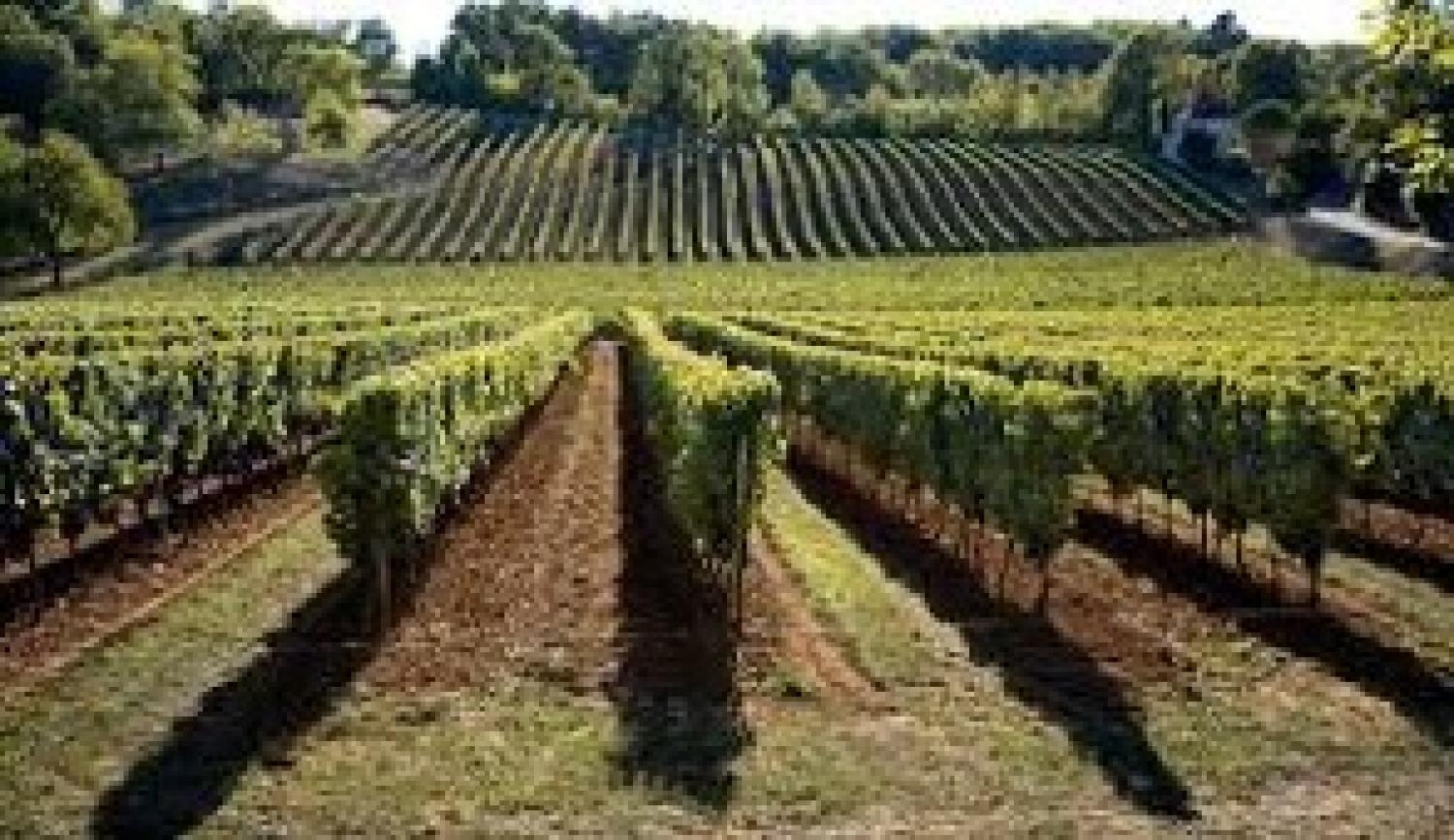  kaufen Landgut Valeilles Tarn-et-Garonne 44