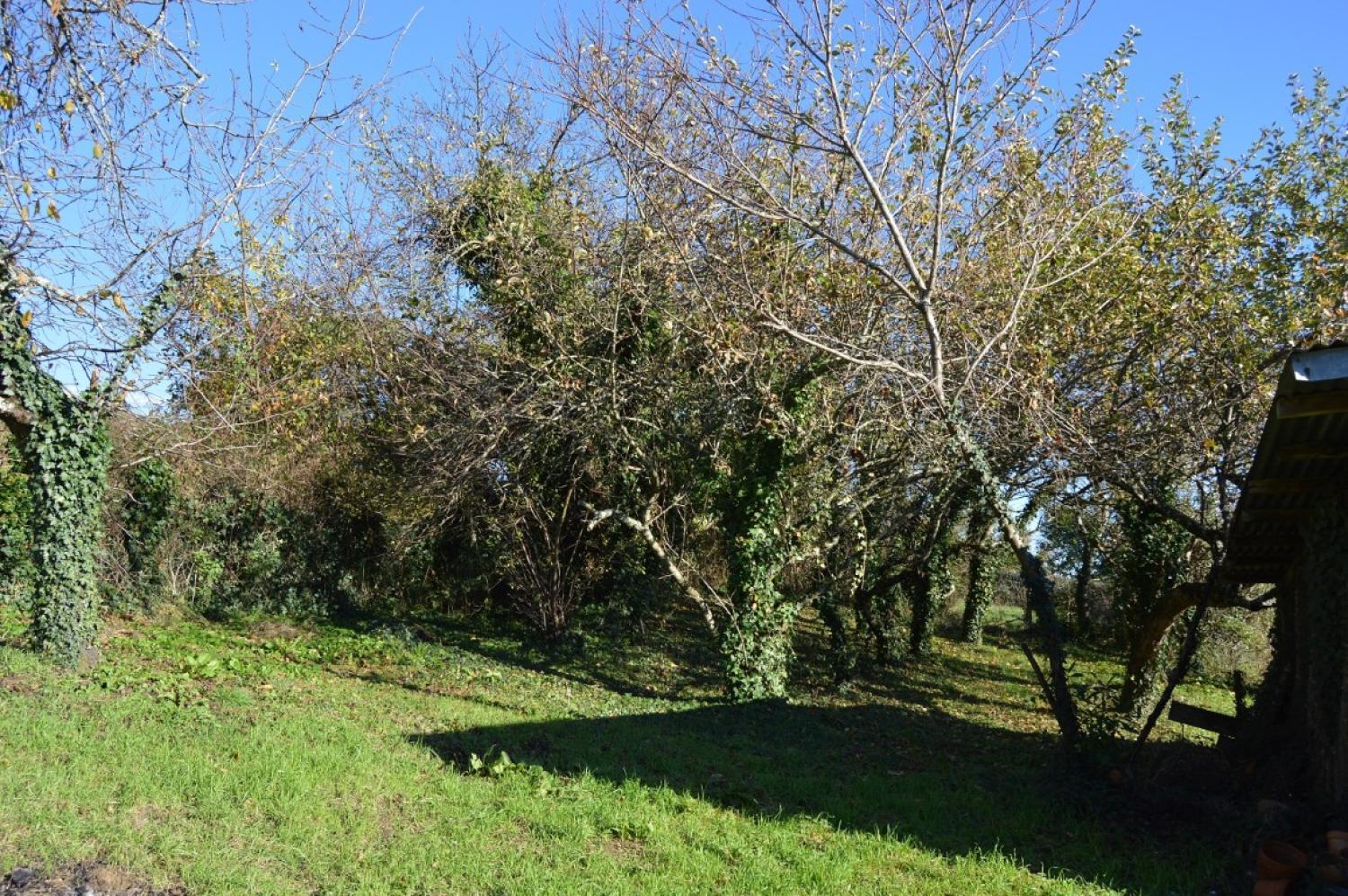  kaufen Haus Millay Nièvre 7