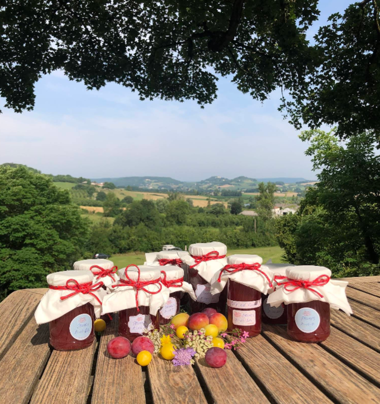  kaufen Landgut Valeilles Tarn-et-Garonne 20