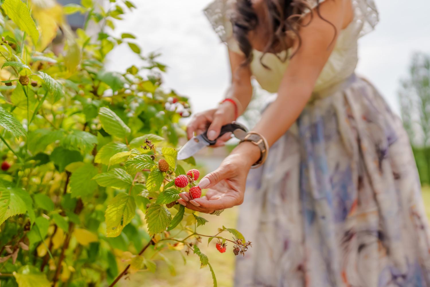  kaufen Villa Langon Loir-et-Cher 37
