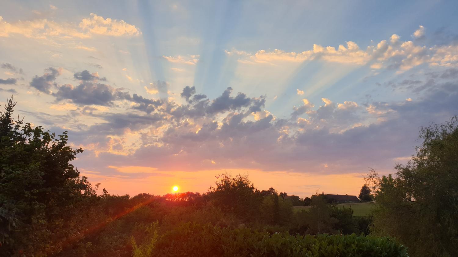  kaufen Freistehend Nadillac Lot 32