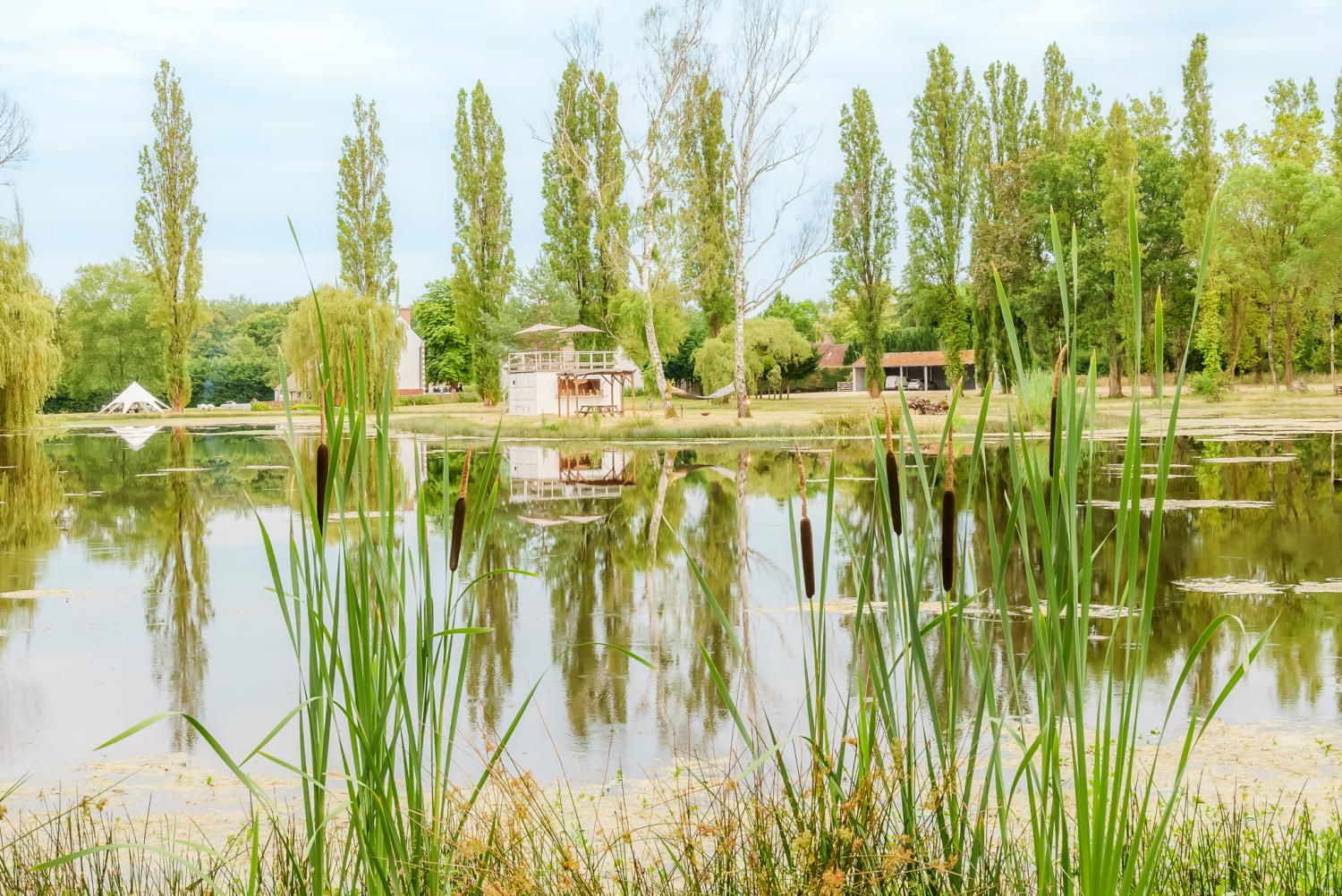  kaufen Villa Langon Loir-et-Cher 34