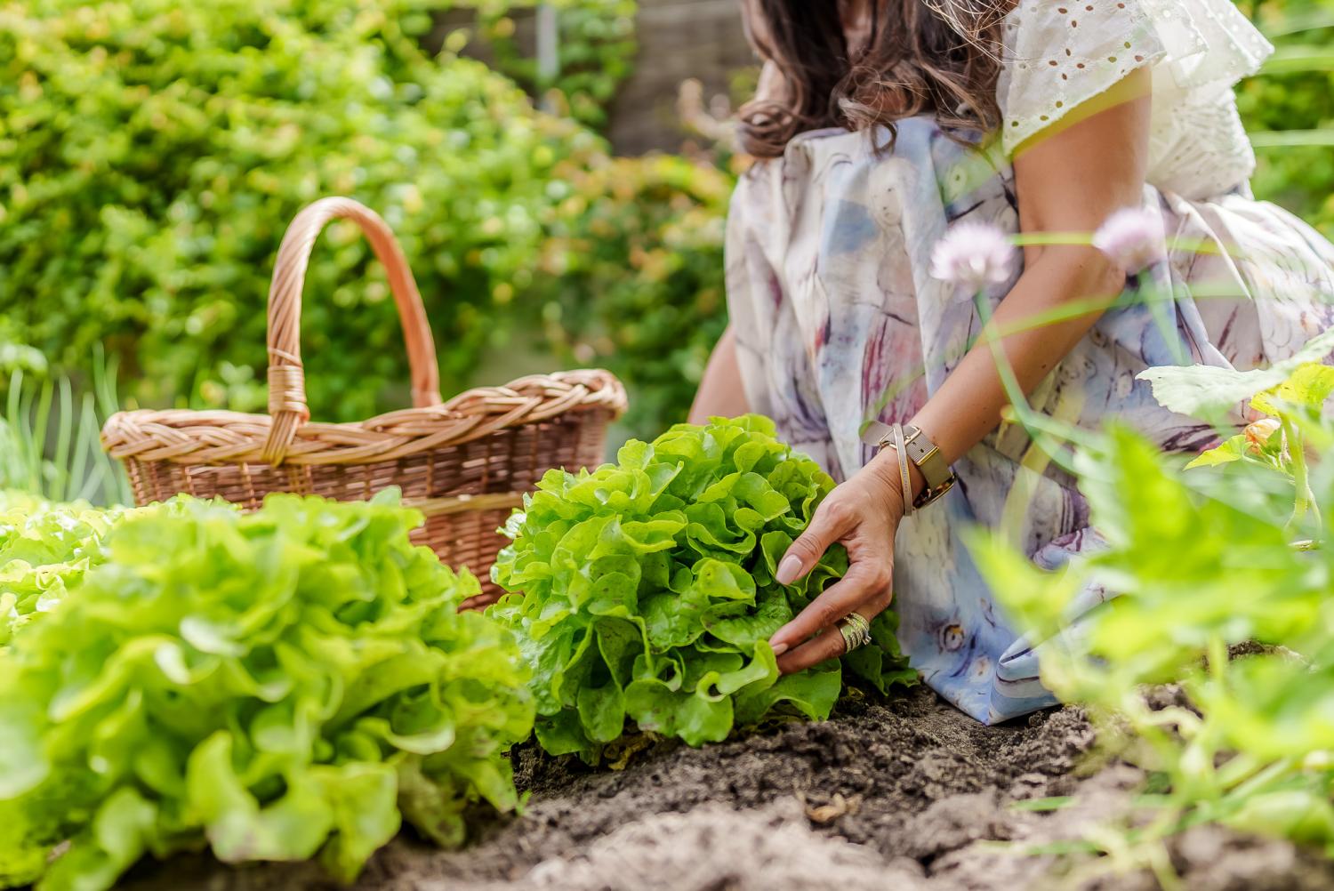  kaufen Villa Langon Loir-et-Cher 38