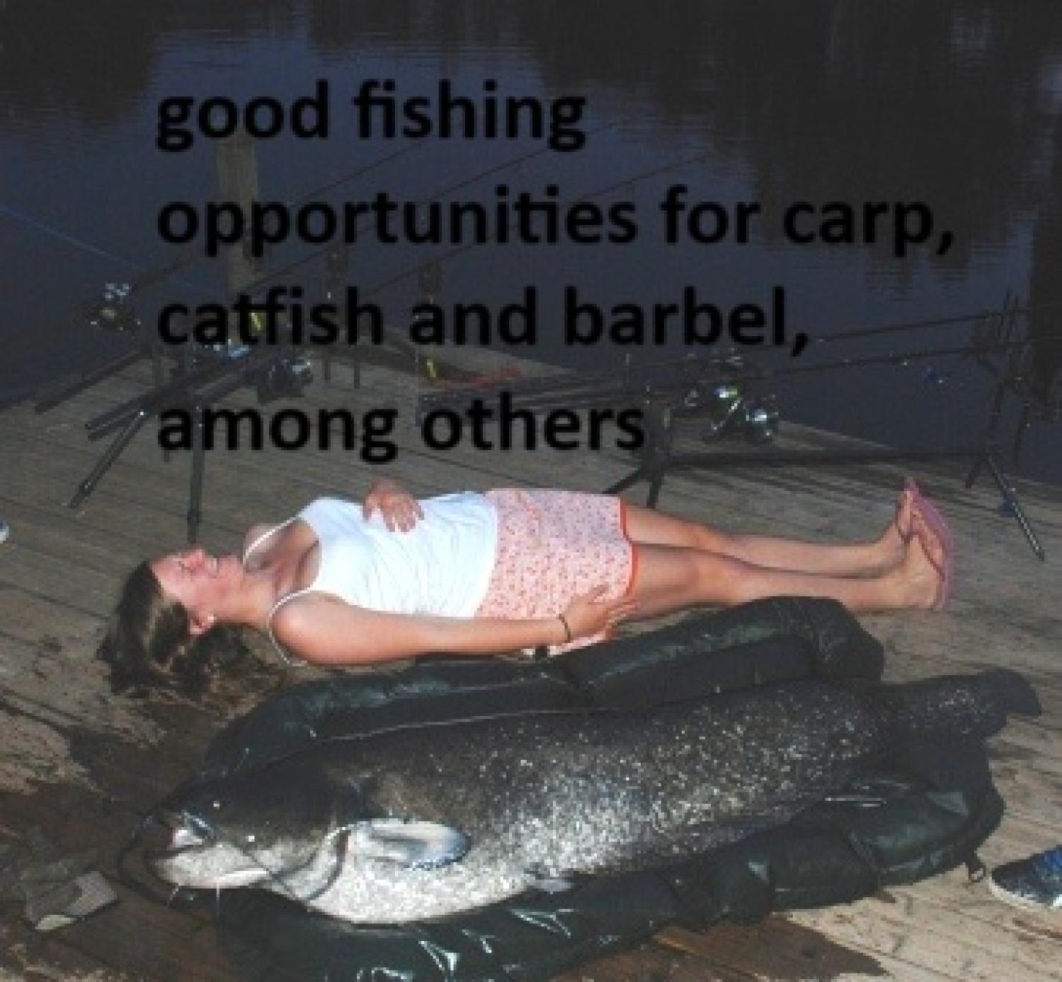  kaufen Häuser mit Zuhause Puy-l'Évêque Lot 36