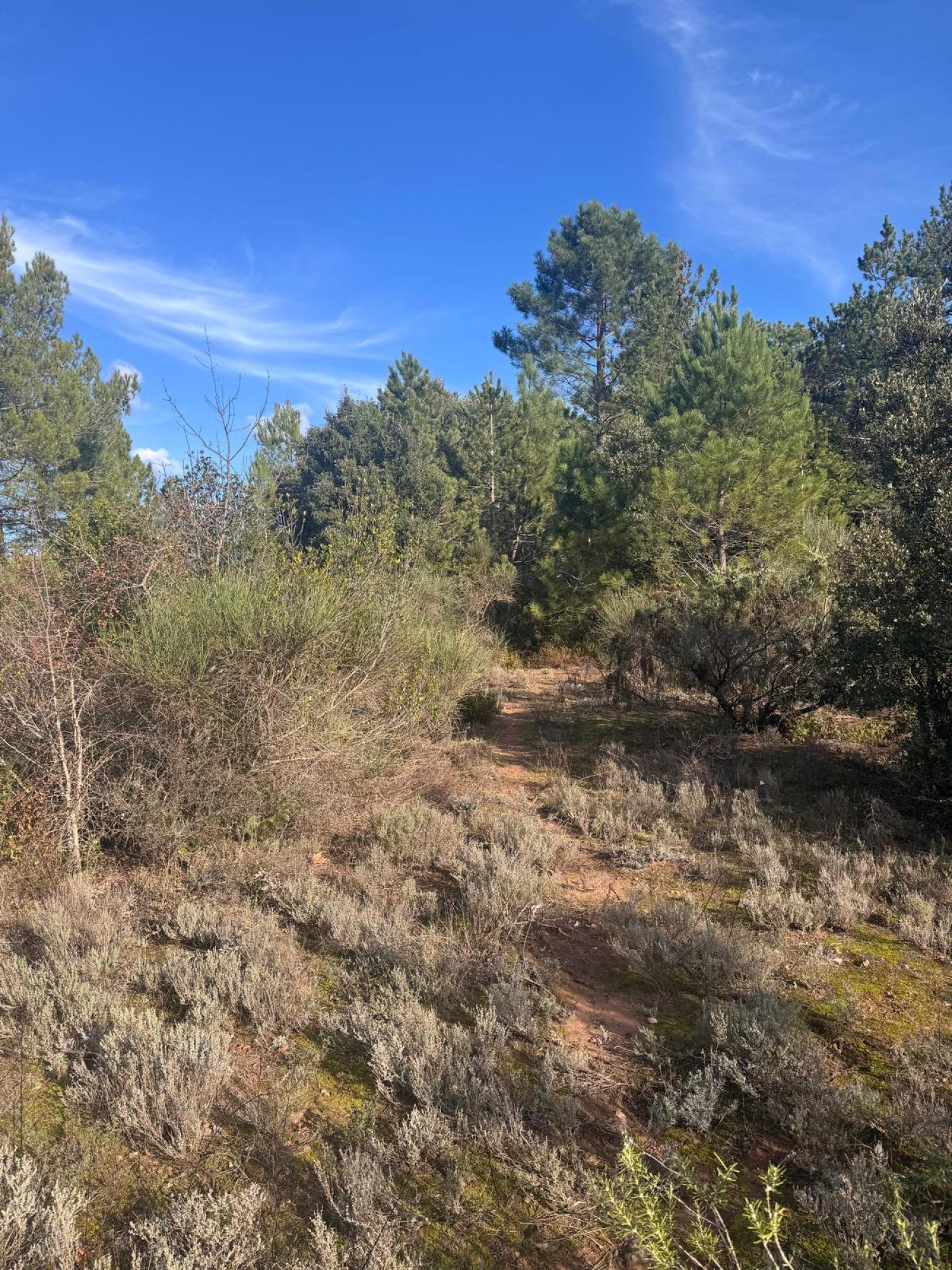 kaufen Haus Bédarieux Hérault 30