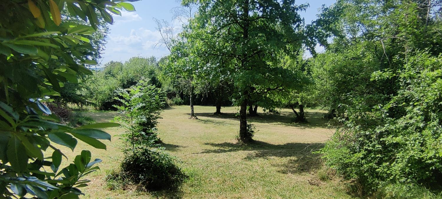  kaufen Freistehend Nadillac Lot 7