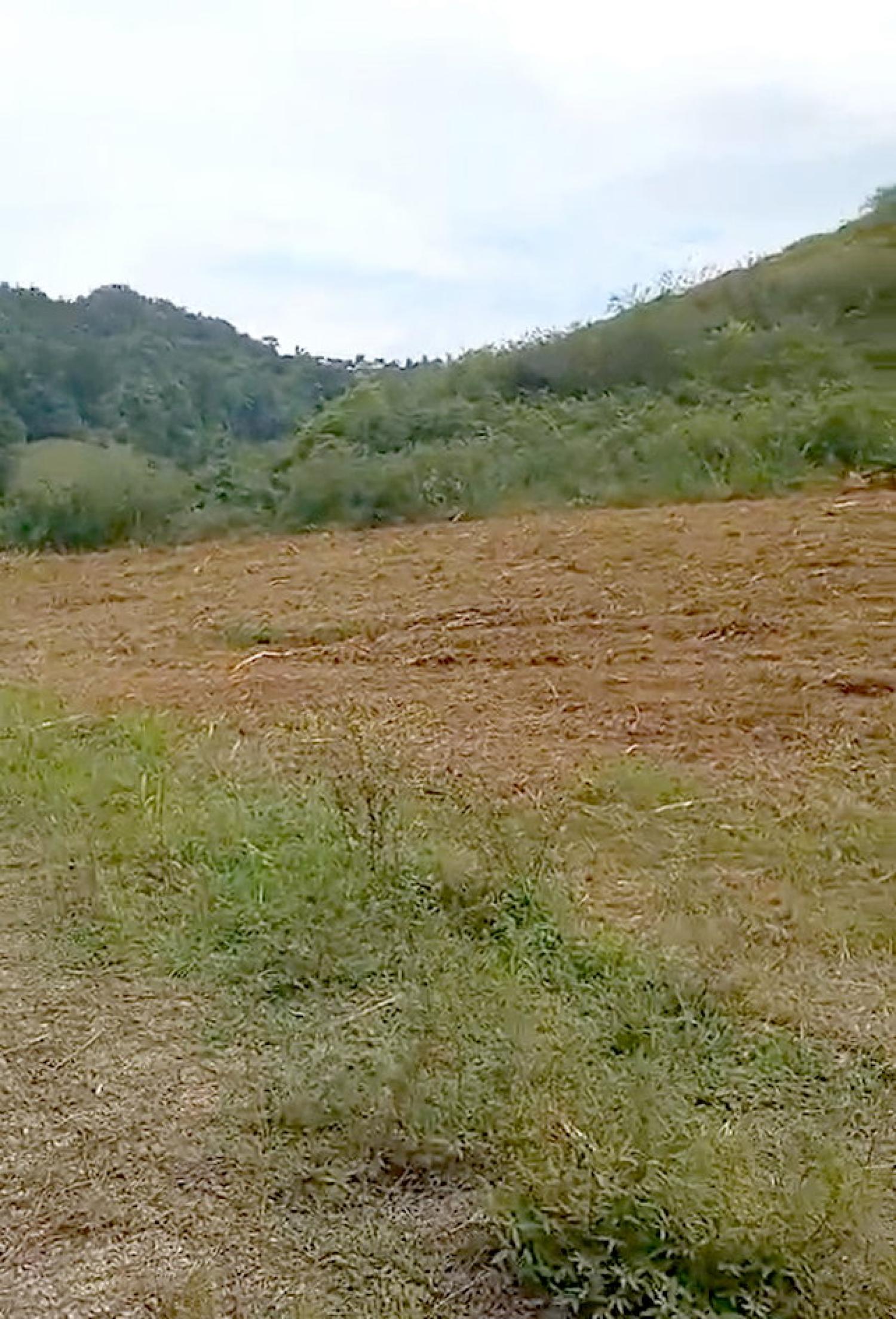  kaufen Haus Le Robert Martinique 5