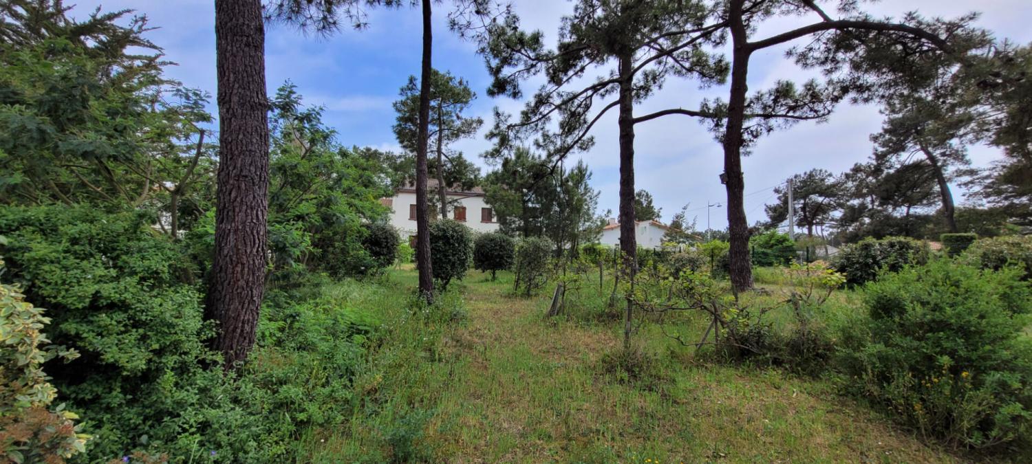  kaufen Haus La Faute-sur-Mer Vendée 4