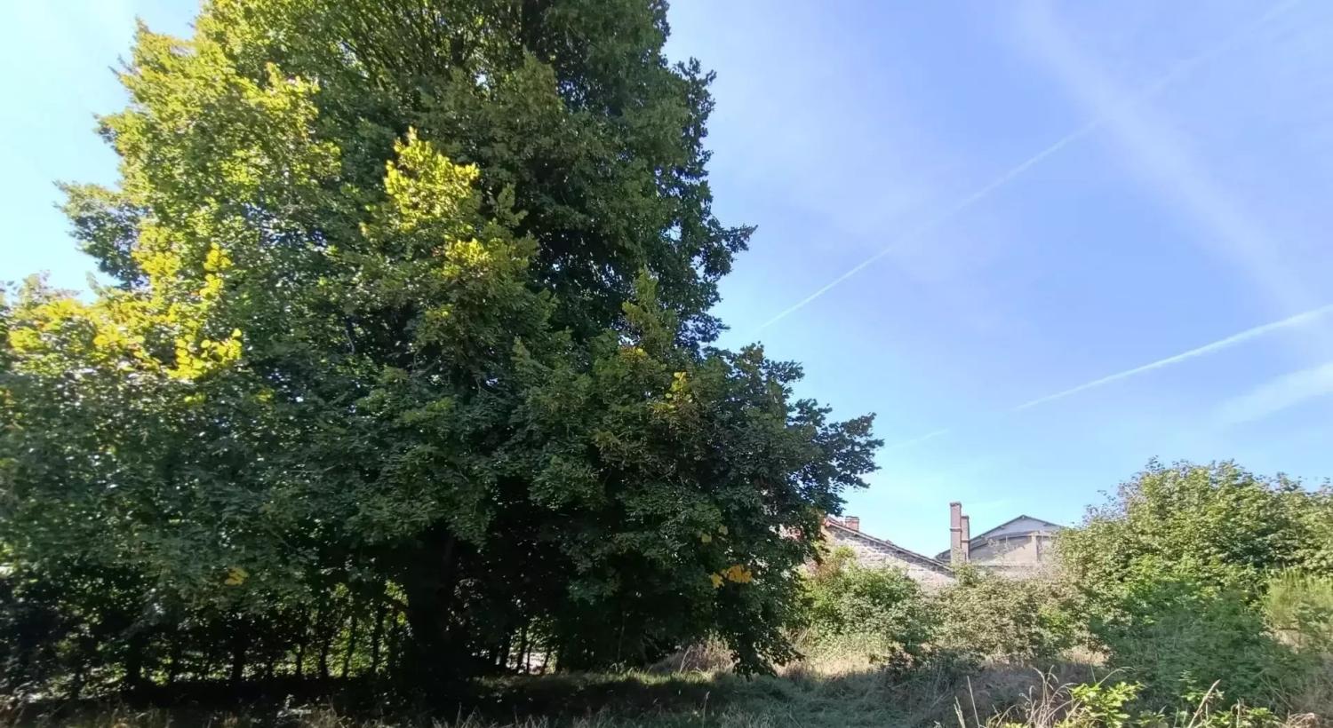  kaufen Haus Saint-Maurice-près-Crocq Creuse 18