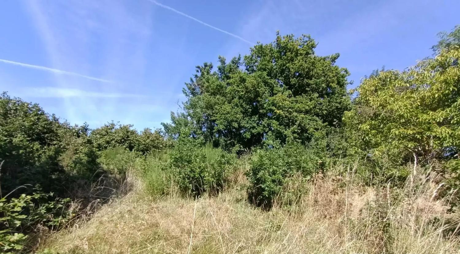  kaufen Haus Saint-Maurice-près-Crocq Creuse 19