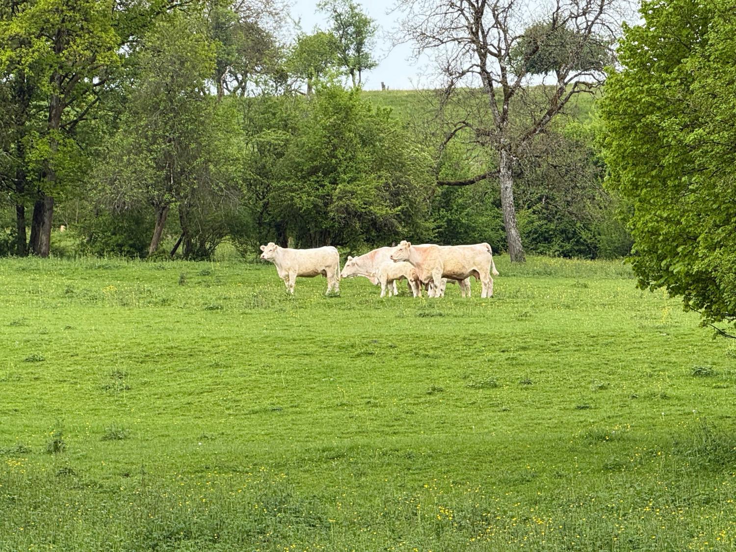  kaufen Dorfbauernhof Rosières-sur-Mance Haute-Saône 25