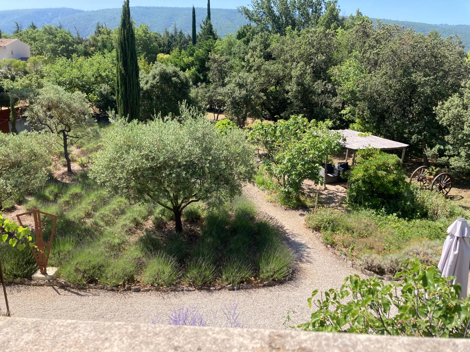  kaufen Ferienhaus/ Gästezimmer Lacoste Vaucluse 18