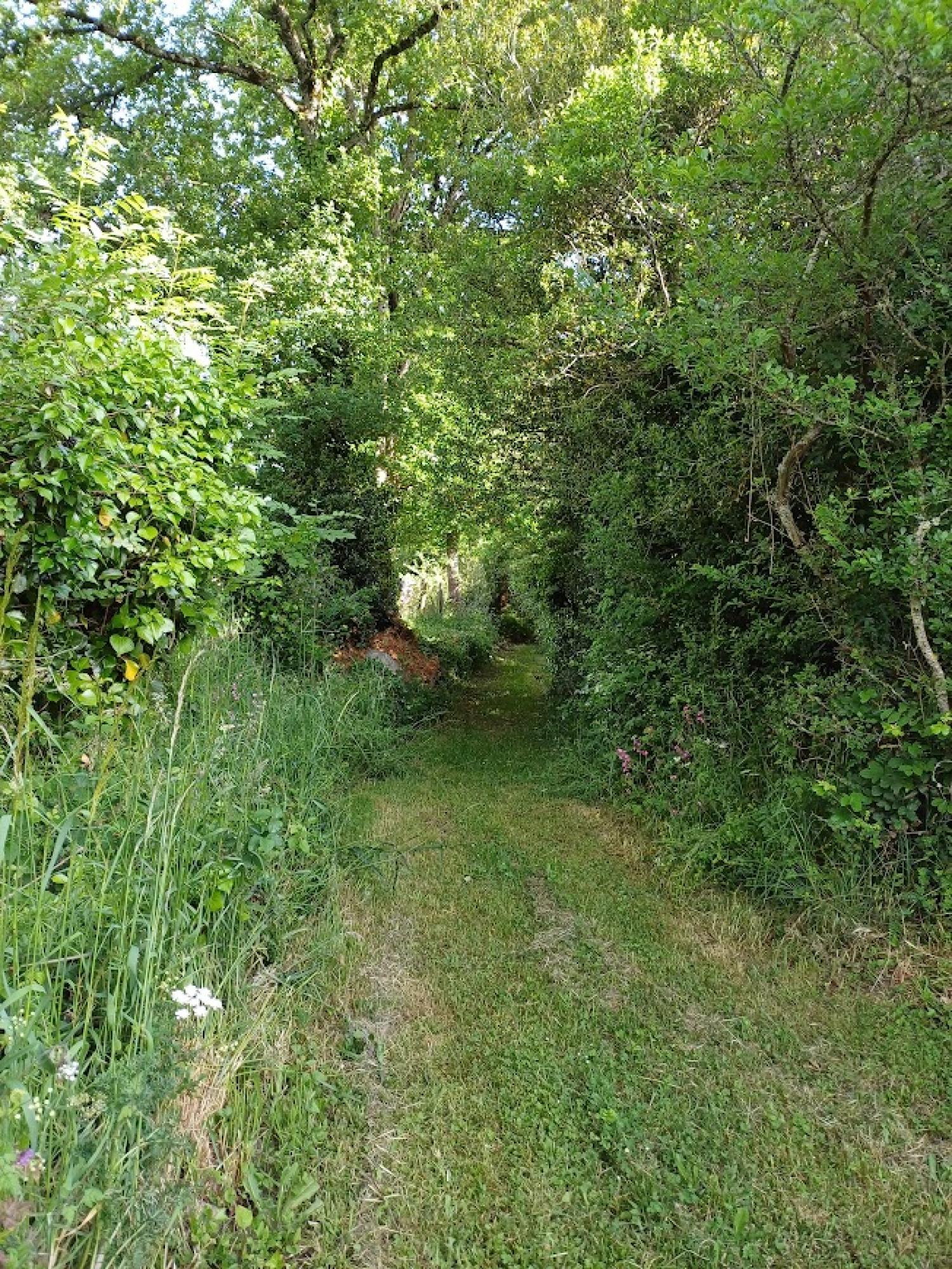  kaufen Freistehend Chénérailles Creuse 4